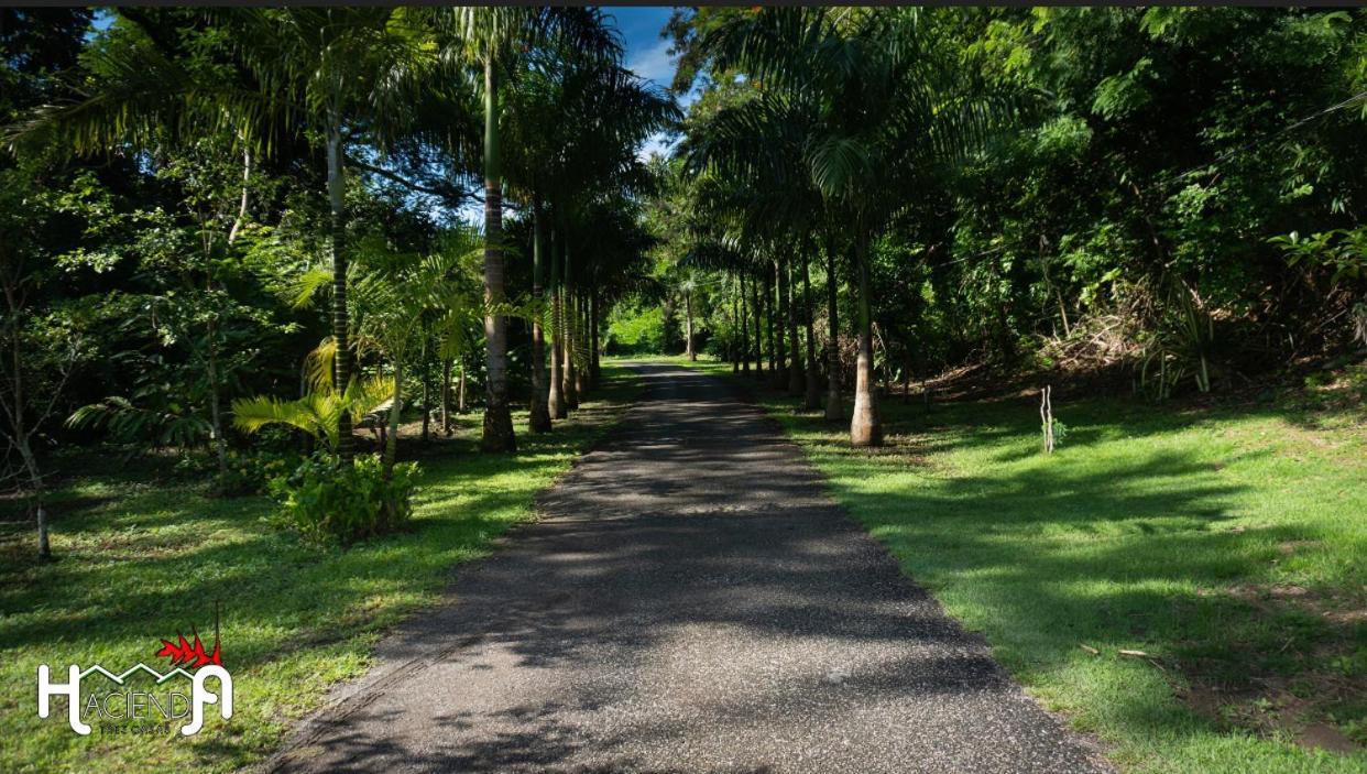 Affittacamere Hacienda Tres Casitas Cabo Rojo Esterno foto